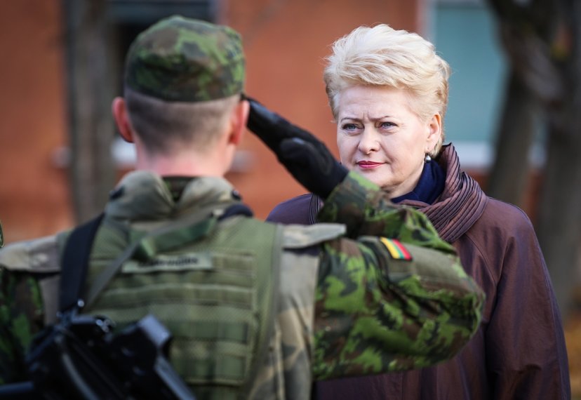 The newly generated response force of Lithuania presented to the supreme command in Alytus