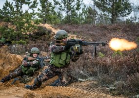 Vyks tarptautinių pratybų „Geležinis kardas 2014“ svečių ir žiniasklaidos diena - 3