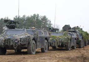 Vokietijos kariuomenės kovos mašinoms – plėšrių gyvūnų pavadinimai - 1