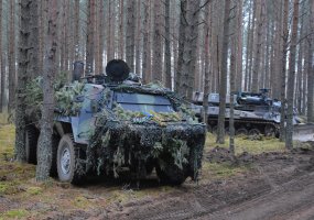 Vokietijos kariuomenės kovos mašinoms – plėšrių gyvūnų pavadinimai - 3