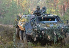 Vokietijos kariuomenės kovos mašinoms – plėšrių gyvūnų pavadinimai - 6
