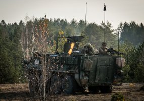 Distinguished Visitors and Media Day at Exercise Iron Sword 2014 - 2