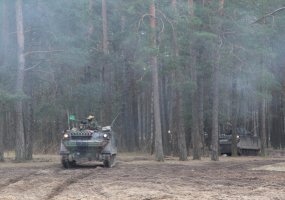 Vaidoto batalione I mechanizuotosios pėstininkų kuopos pratybos  - 4