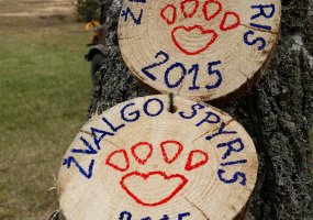 Stiprus „Žvalgo spyris 2015“ - 3