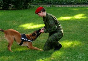 Būsimuosius karius tarnyboje pasitiks ir naujoji keturkojė Karo policijos pareigūnė - 3