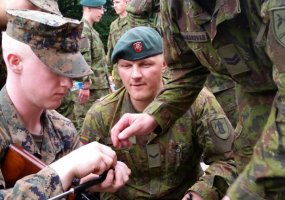 Lithuanian soldiers train in a cooperative NATO and Ukraine's exercise on the soil of Ukraine - 1