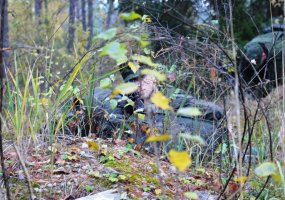 Gera pradžia – lauko taktinės pratybos „Pirma naktis“ - 2