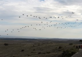 Lietuvos karinė vadovybė Ispanijoje stebėjo ambicingiausias per dešimtmetį NATO pratybas - 5