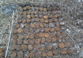 Kariai išminuotojai per planinę operaciją Zarasų rajone sunaikino 2699 vnt. sprogmenų - 1
