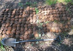 Kariai išminuotojai per planinę operaciją Zarasų rajone sunaikino 2699 vnt. sprogmenų - 2