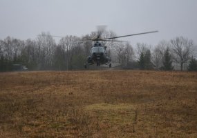 Ulonų puolimas ruošiantis tarptautiniam budėjimui tęsiasi - 2