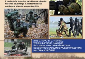 Vaidoto bataliono kariai dalyvaus jungtinėse pratybose Ukmergės rajone - 1