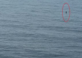 Sunaikintas Baltijos jūroje plūduriavęs torpedos korpusas - 1