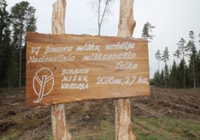 Kariai padėjo atsodinti mišką - 4