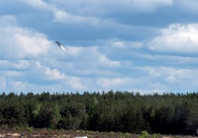 Baigėsi prieštankinių padalinių pratybos „Medžiotojas 2016“  - 1