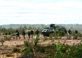 Gen. S. Žukausko poligone – pratybų „Geležinis Vilkas 2016“ baigiamoji operacija, pratybų... - 4