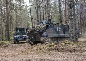 Gen. S. Žukausko poligone – pratybų „Geležinis Vilkas 2016“ baigiamoji operacija, pratybų... - 5