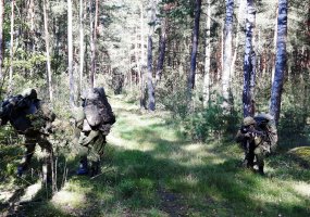 Šiaulių apygardos Probacijos tarnybos direktorius lavino darbo planavimo ir organizavimo įgūdžius - 2