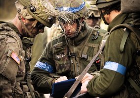 Lithuanian volunteer soldiers train side by side with allied colleagues  - 1