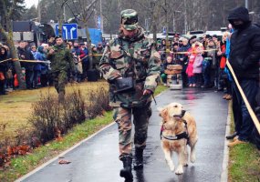 Apžiūrėti NATO techniką ir ginkluotę panoro keli tūkstančiai Visagino gyventojų ir svečių - 1