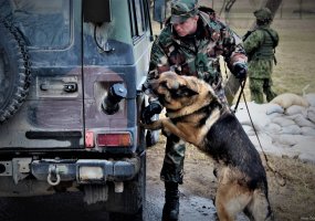 Algirdo bataliono šauktiniai - operacijoje „Gyvatės lizdas - 4