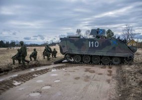 Vepriuose vyks jungtinė karinė operacija - 2