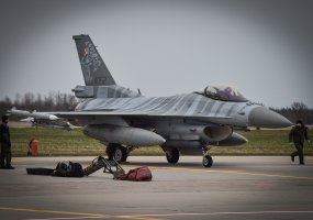 Kariuomenės ir visuomenės šventėje Panevėžyje - ir NATO sąjungininkų kariai - 3