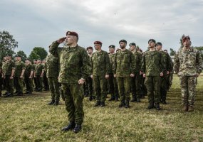 Prasidėjo didžiausios tarptautinės pratybos „Geležinis Vilkas 2017“: Lietuvoje treniruosis per... - 2
