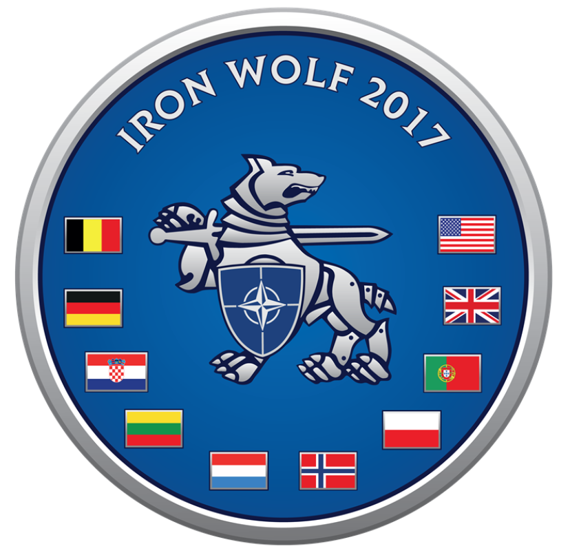 Birželį vyks tarptautinės pratybos „Geležinis vilkas 2017