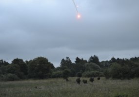 Karinių jūrų pajėgų JKVM klausytojai įgytas žinias praktiškai pritaikė lauko pratybose - 3