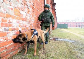Inžinerijos bataliono K-9 grandyje - nauji keturkojai kariai - 4