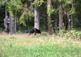 Šiaulių regione vyko karių savanorių pratybos - 6
