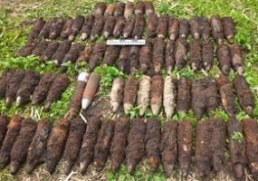 Karo inžinieriai: sprogmenų mūsų žemėje daug, todėl žmonėms patartina būti atidiems   - 1