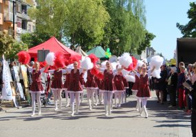 Jurbarke vyko Partizanų pagerbimo, Kariuomenės ir visuomenės vienybės diena - 2