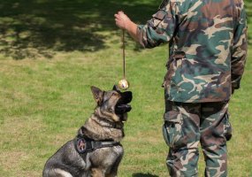 Lietuvos didžiojo kunigaikščio Gedimino štabo batalione vyko atvirų durų diena - 3