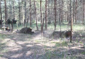 Rezervo karių artimuosius ir darbdavius šeštadienį kviečiame į brg. gen. Kazio Veverskio poligoną... - 3