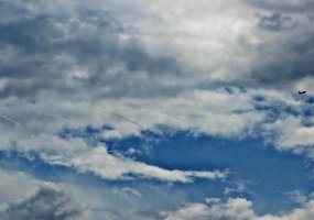 „Kardo kirčio“ mokymuose Lietuvoje pirmą kartą įvykdyta oro ataka iš naikintuvų F-16 su kovinėmis... - 2