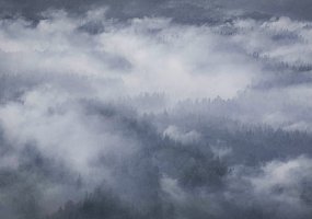 Jau trečią savaitę Lietuvos kariuomenės Karinės oro pajėgos toliau tęsia pagalbą malšinant... - 4