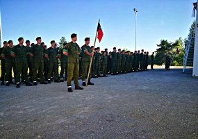 Brigados generolo Motiejaus Pečiulionio artilerijos batalione įsteigta II-oji Ugnies baterija   - 1
