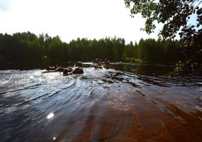Lietuvos kariuomenės Sausumos pajėgų ir šešių užsienio valstybių pėstininkų skyriai susirungė dėl... - 6