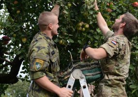 Švenčionių rajono savivaldybė apdovanota „Auksine krivūle 2018 - 4