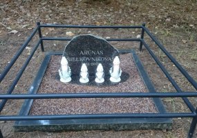 Visoje Lietuvoje pagerbiamas Anapilin išėjusių karių atminimas - 3