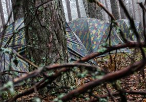 Belgijos kariuomenės landseriai – nuo kovos prieš Napoleoną iki gynybos pozicijų pratybose... - 6