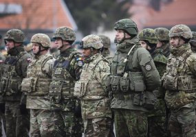 Krašto apsaugos ministerijos ir Gynybos štabo vadovybė lankėsi pratybose „Anakonda-18“ - 6