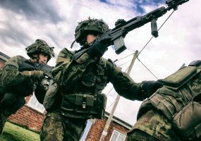 Metų sandūra LDK Algirdo mechanizuotajame pėstininkų batalione - 2