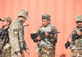 Lithuanian soldiers will deploy to 11 multinational operations this year  - 2