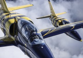 Bendri Lenkijos ir Lietuvos karinių oro pajėgų pilotų veiksmai - 2