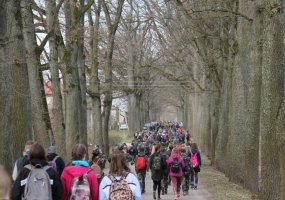 Jurbarko rajone vyko 9-asis pėsčiųjų žygis „Kęstutėnai“ - 1