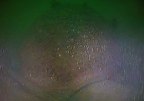 Lietuvos karo laivas prie Klaipėdos uosto vartų aptiko ir sunaikino Antrojo pasaulinio karo miną - 2