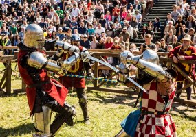 Istorijos mylėtojus Kaune kviečia Kunigaikščio Vaidoto riterių turnyras, raitų riterių turnyras... - 3
